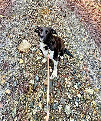 Photo of Marley #image