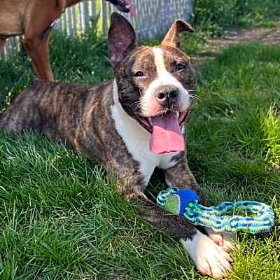 Photo of Lilly #image
