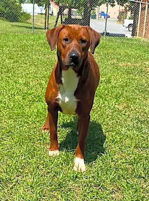 Photo of Bella #image