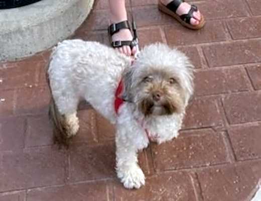 Photo of Hazel #image