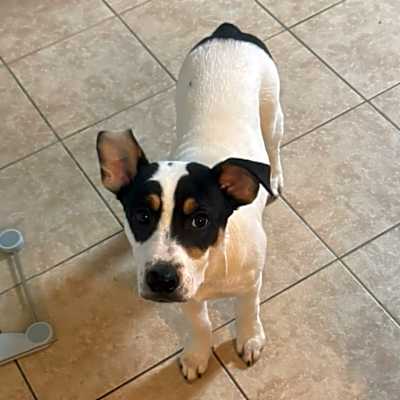 Photo of Spud #image
