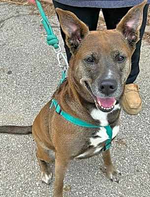 Photo of Millie #image
