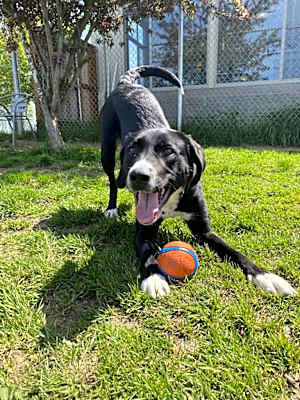 Photo of JuneBug #image