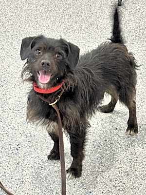 Photo of Reggie #image