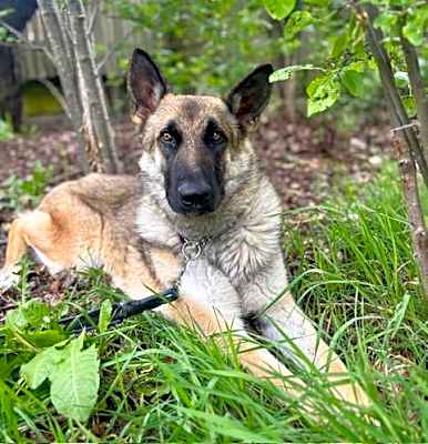 Photo of Nyla #image
