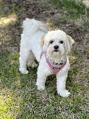 Photo of Emmah #image