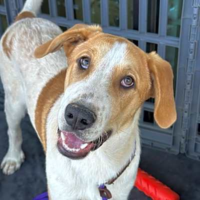 Photo of Baylor #image