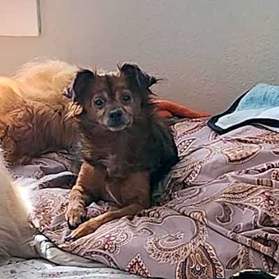 Photo of Essie #image