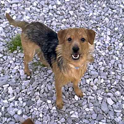 Photo of Charlie #image