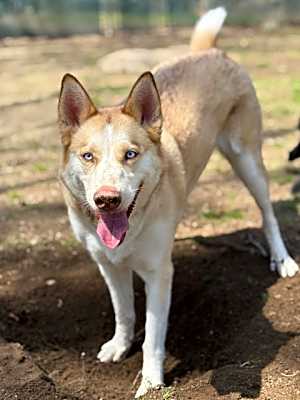 Photo of Harper #image