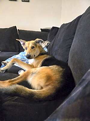 Photo of Teddy #image