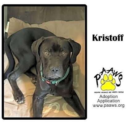 Photo of Kristoff #image