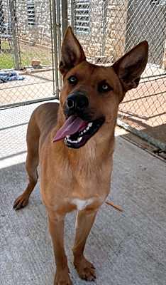Photo of KEVIN HUBBELL #image