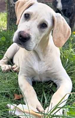 Photo of Floyd #image