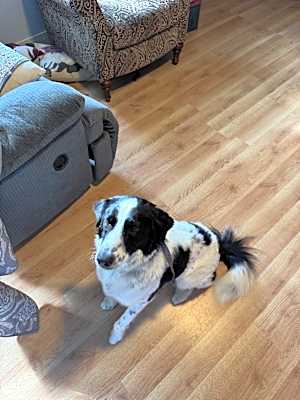 Photo of Connie #image