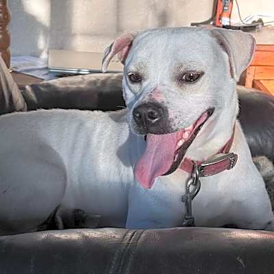 Photo of Jericho #image