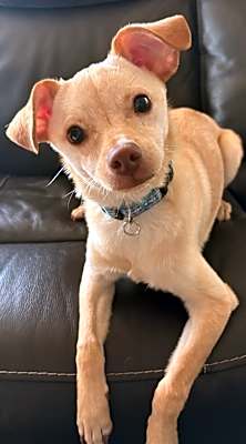 Photo of Loki #image