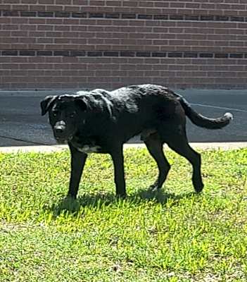Photo of Deveraux #image