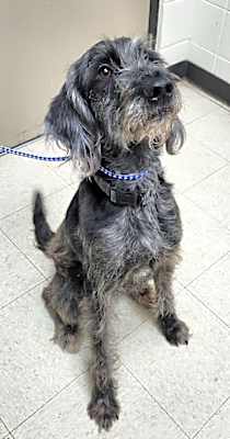 Photo of Randolph #image