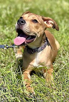 Photo of Nelli #image