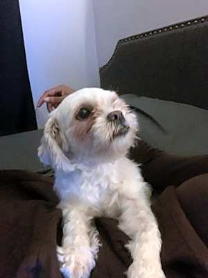 Photo of Sasha #image