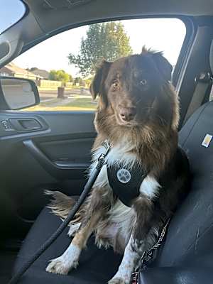Photo of Wesson #image