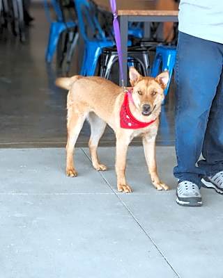 Photo of Jill #image