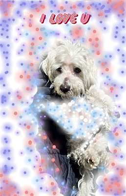 Photo of Little Snowman #image