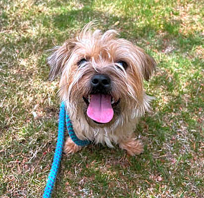 Photo of ROBERT (pronounced "Robehr") #image