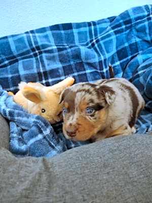 Photo of Sam #image