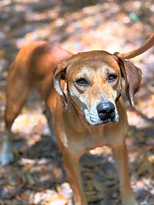 Photo of Zoe #image