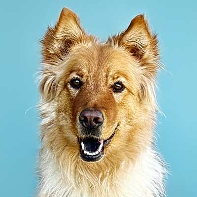 Photo of Tessa #image