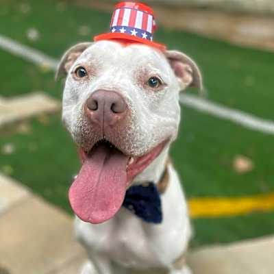 Photo of Rocko #image