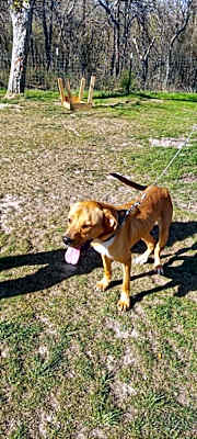 Photo of Nemo #image