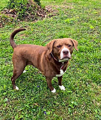Photo of Coco #image