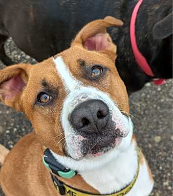 Photo of Kody #image