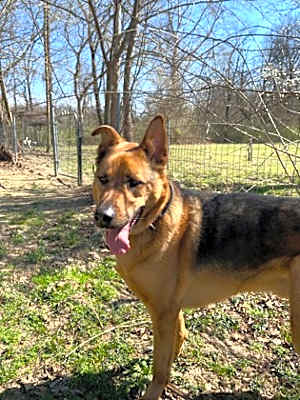 Photo of Kane #image