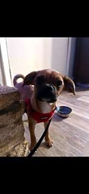 Photo of Baby #image
