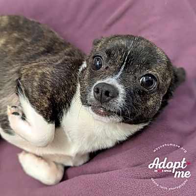 Photo of Enid #image