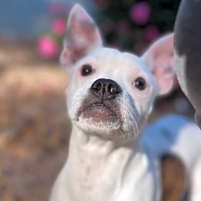 Photo of Malibu #image