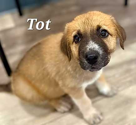 Photo of Tot #image
