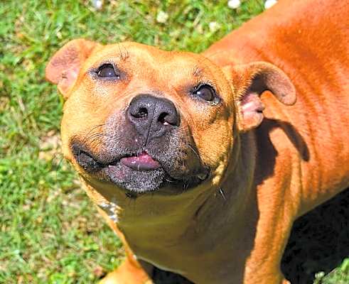 Photo of Itzy #image