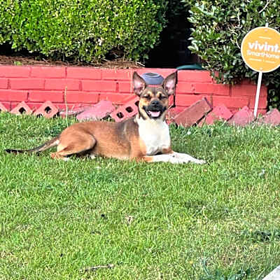 Photo of Mateo #image