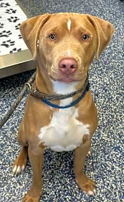 Photo of Benny #image