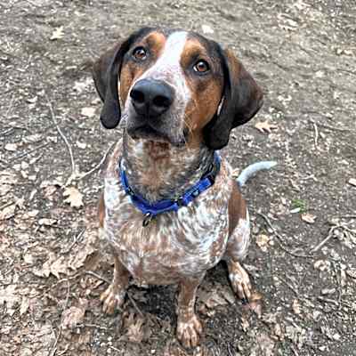 Photo of Beau #image