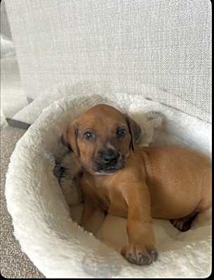 Photo of Mika #image