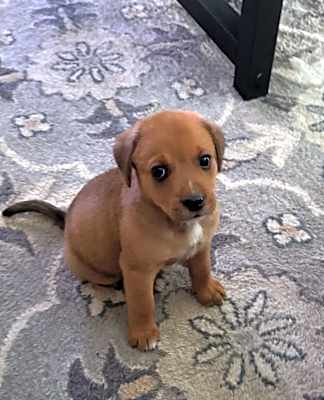 Photo of Buford #image