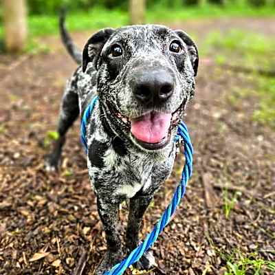 Photo of Wilbur #image