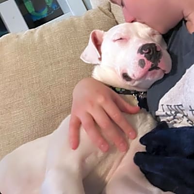 Photo of Krypto #image