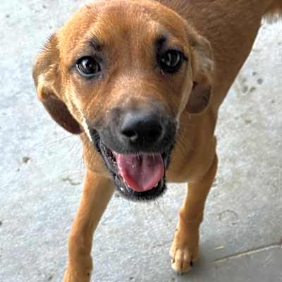 Photo of Frannie #image